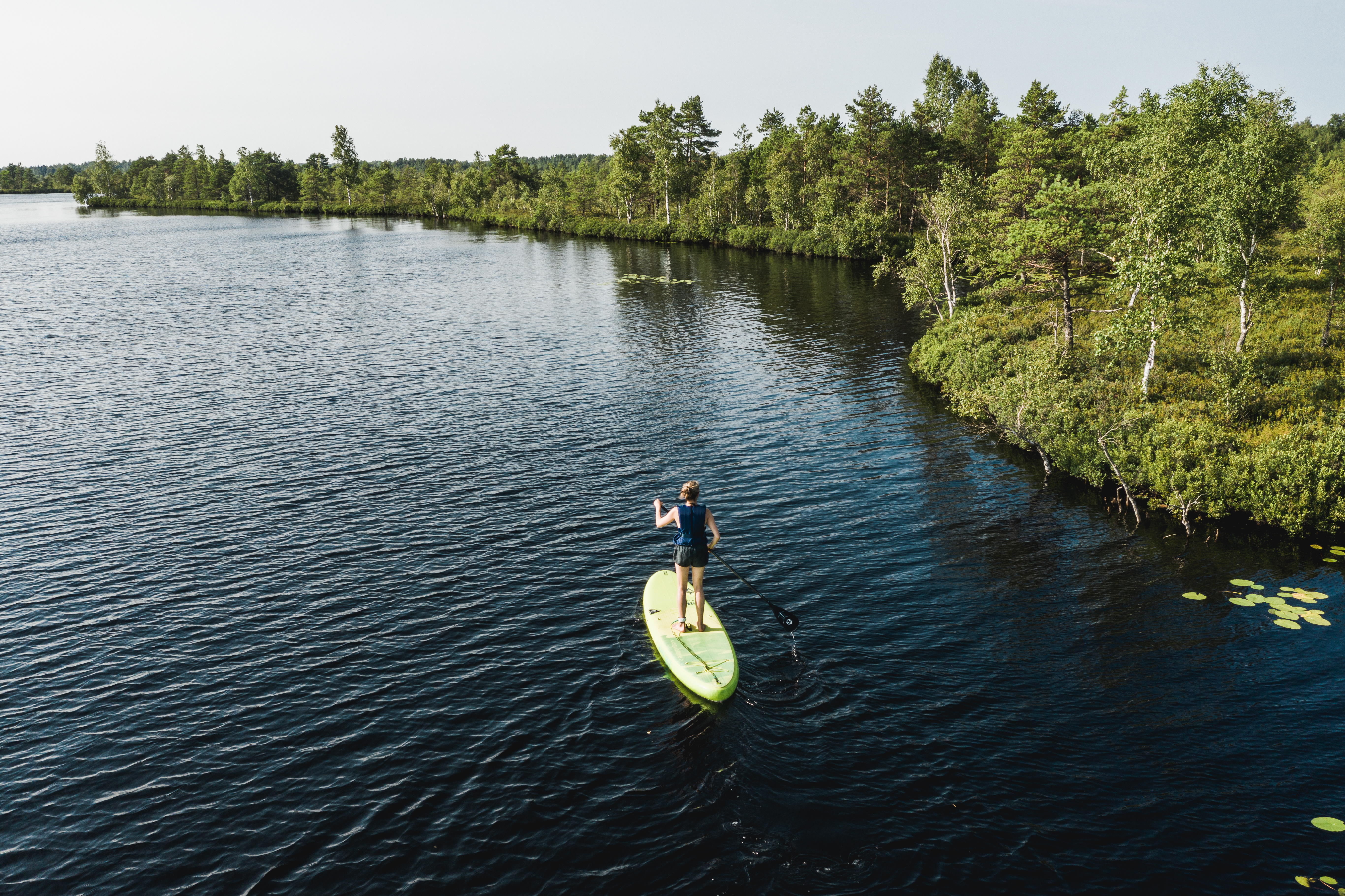 257724-saaremaa-koigi-bog-sup