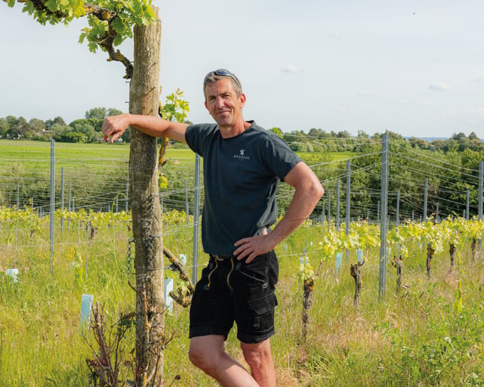 Ørnberg_Vin_Web_GoMore-Guide1