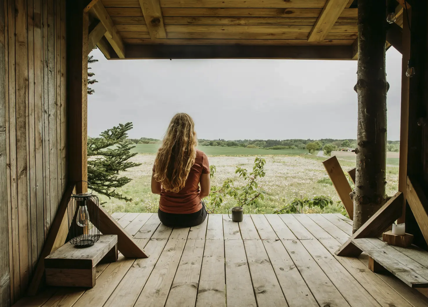 Tree Top Shelter hos Holmely